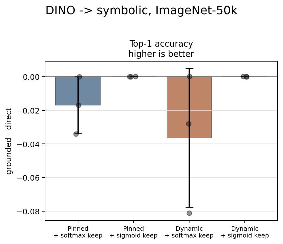 DINO -> symbolic classification